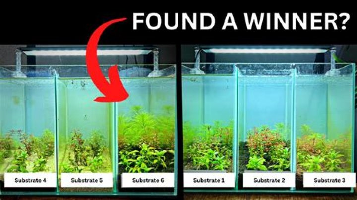 How much substrate do I need for a 60 Litre tank?