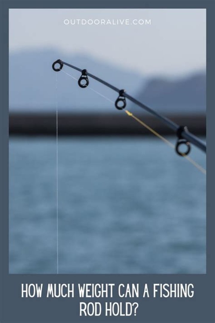How much weight can a fishing pole hold?