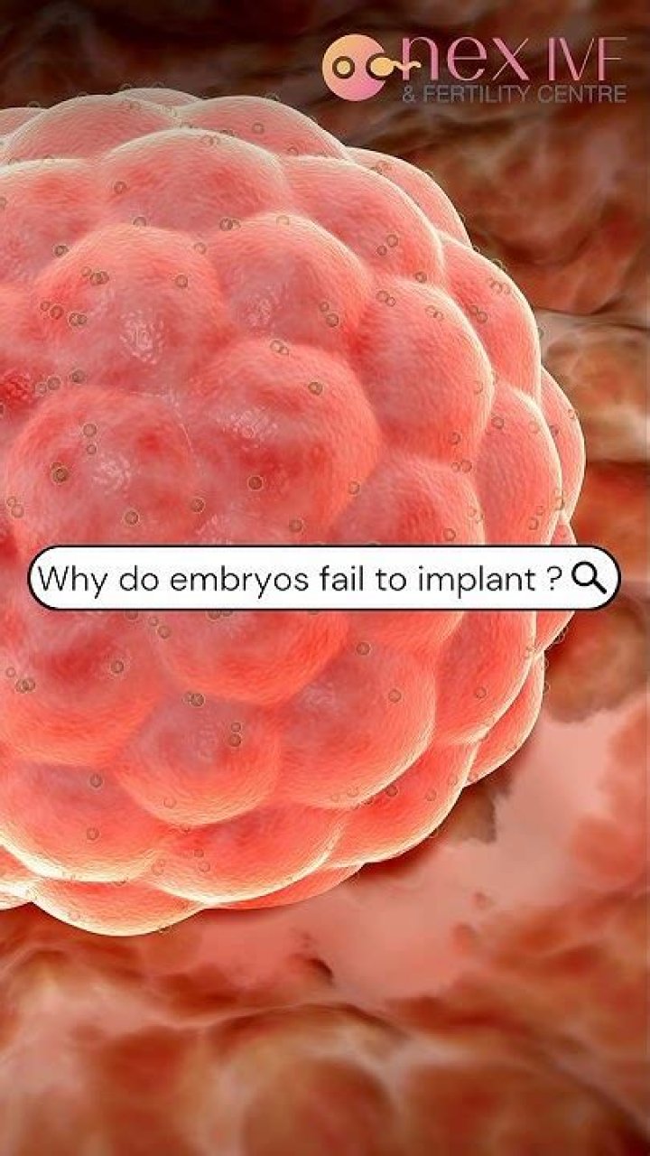 How often do embryos fail to implant?