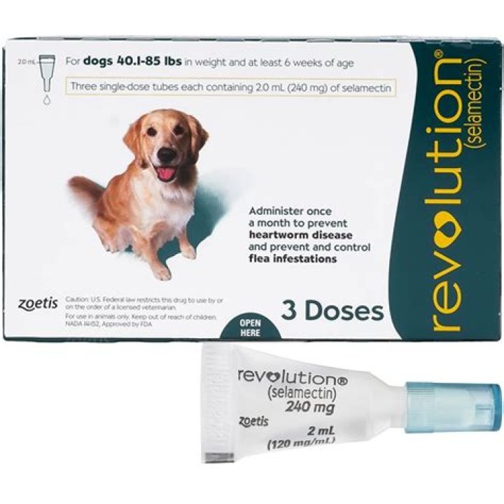 How often do you use revolution for dogs?