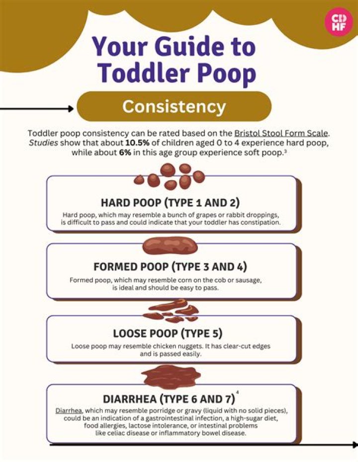 How often should a 4 month old poop?