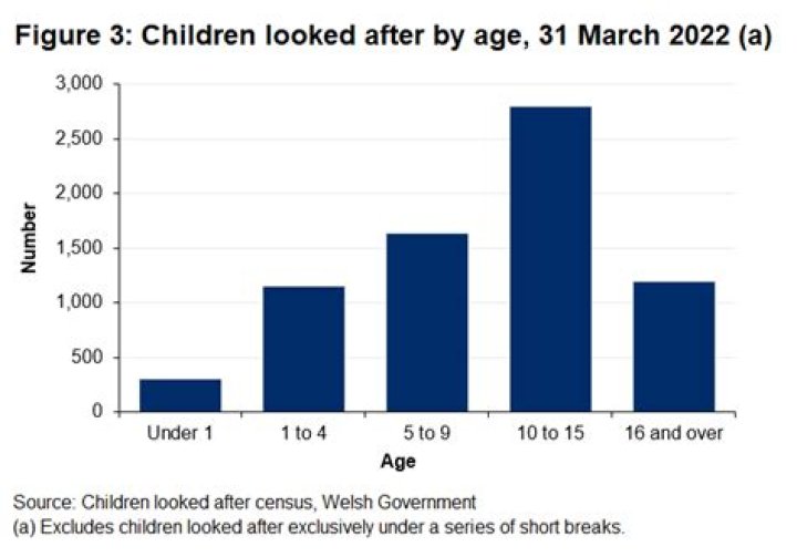How often should a looked after child be visited?