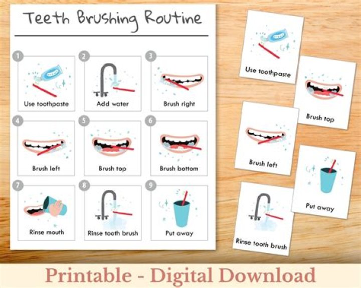 How often should you brush your 2 year old's teeth?