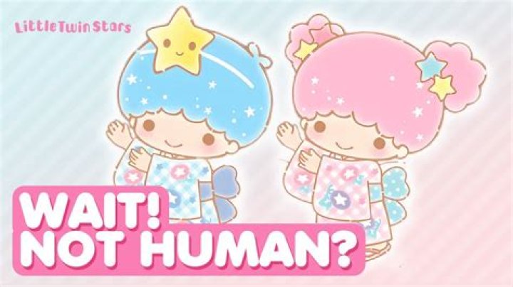 How old are the Little Twin Stars?