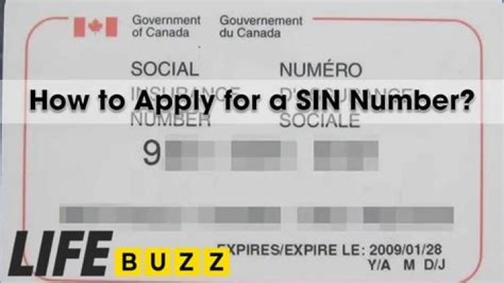 How old do you have to be to get a SIN number?