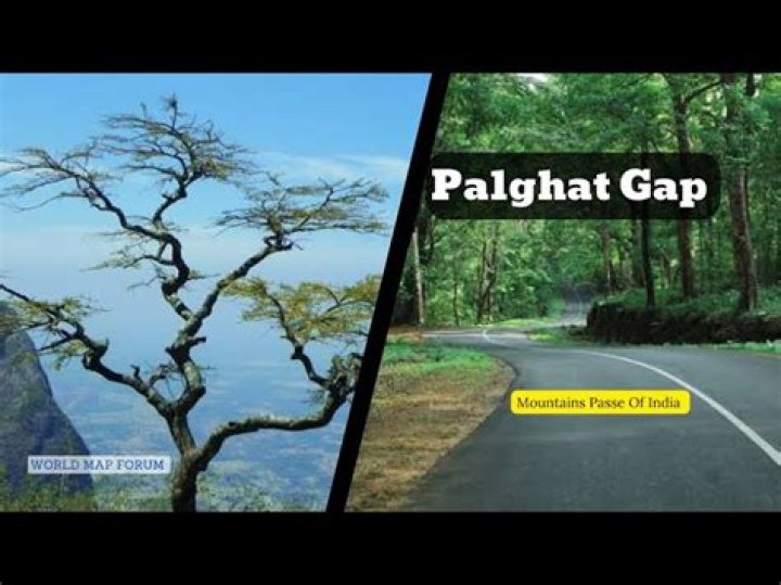 How Palghat got its name?