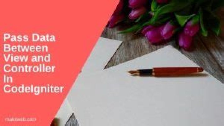 How pass data redirect in CodeIgniter?