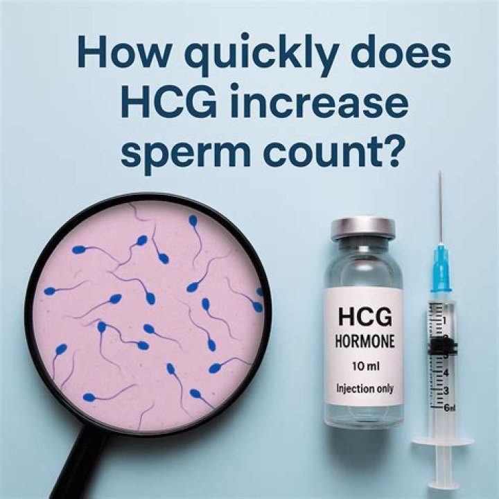 How quickly does hCG increase sperm count?