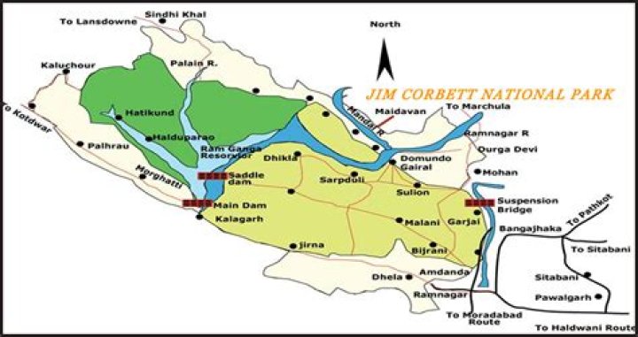 How reach Jim Corbett National Park from Rishikesh?
