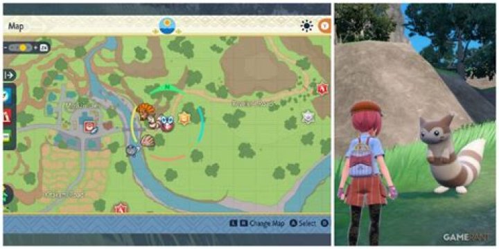 How tall is Sentret?