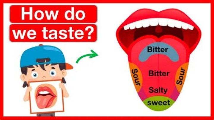 How we can taste?