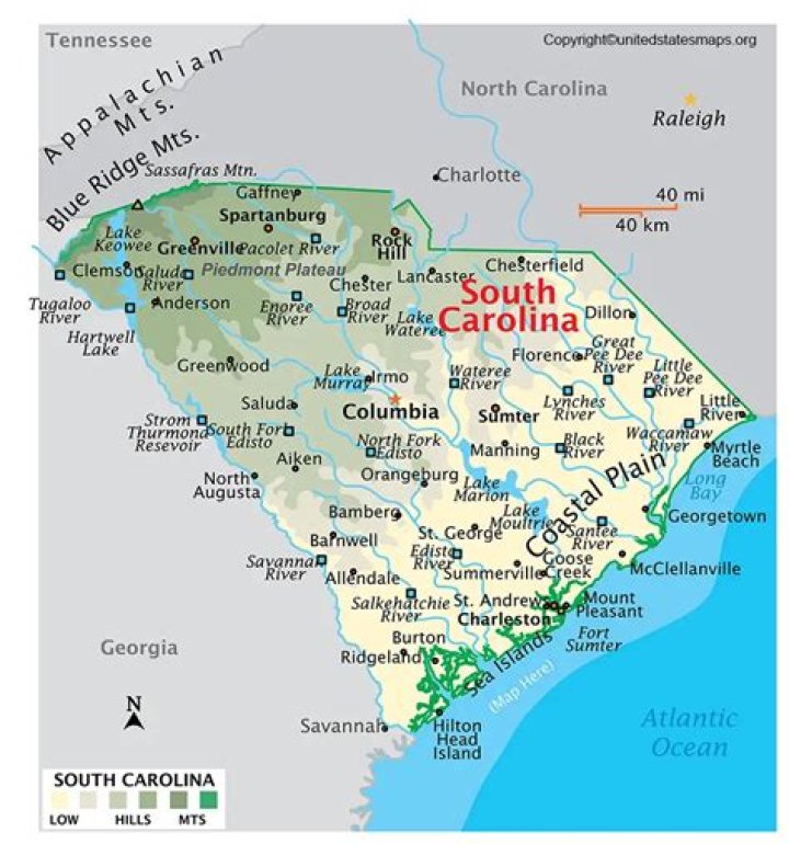 How white is South Carolina?