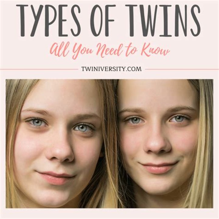 In what ways are identical twins alike?