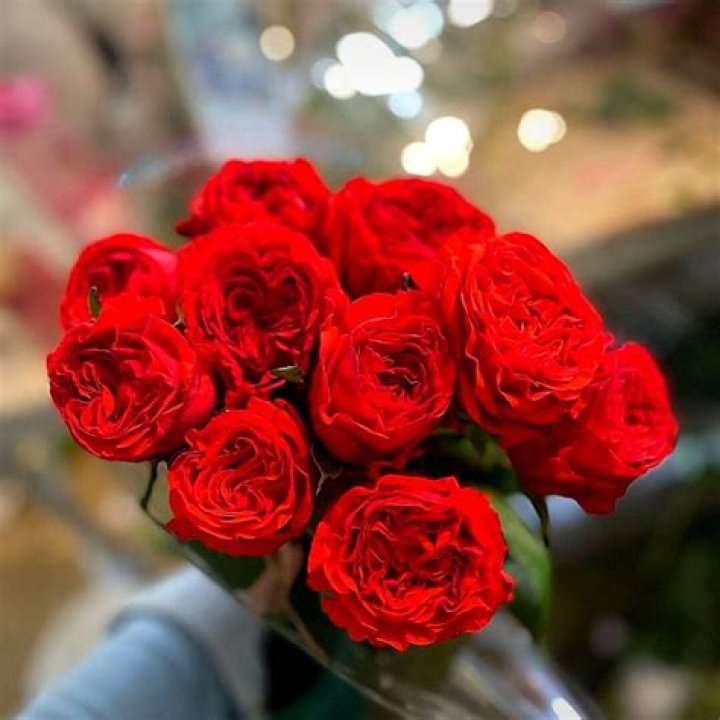In which country rose is national flower?