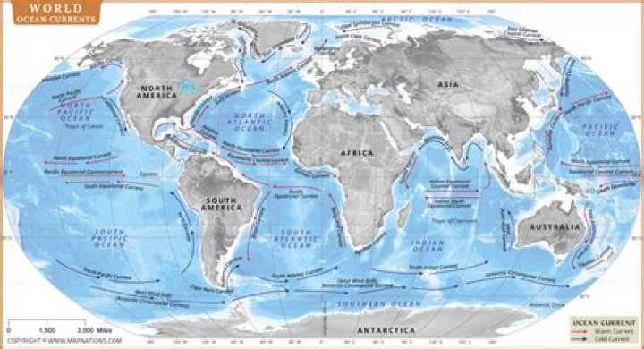 In which region do the cold and warm ocean currents meet?