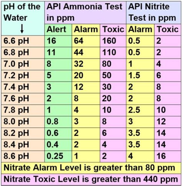 Is 40 ppm nitrate bad?