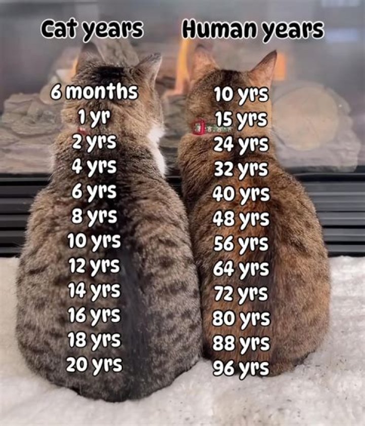 Is 5 years old for a laptop?