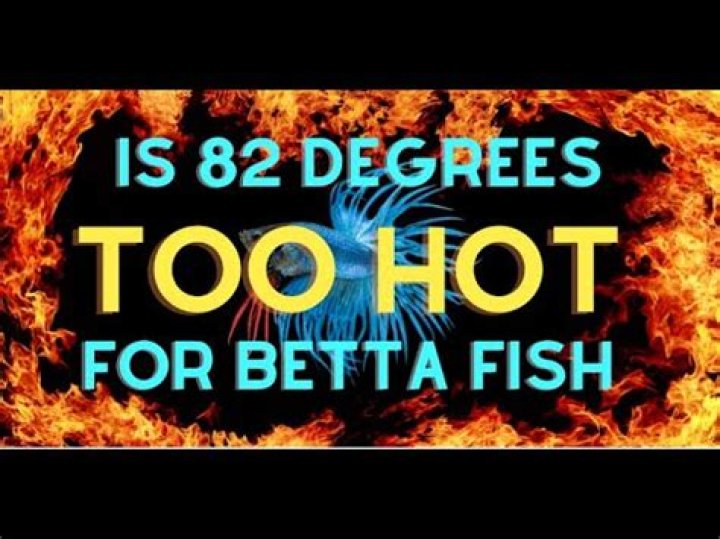 Is 82 degrees too hot for tropical fish?