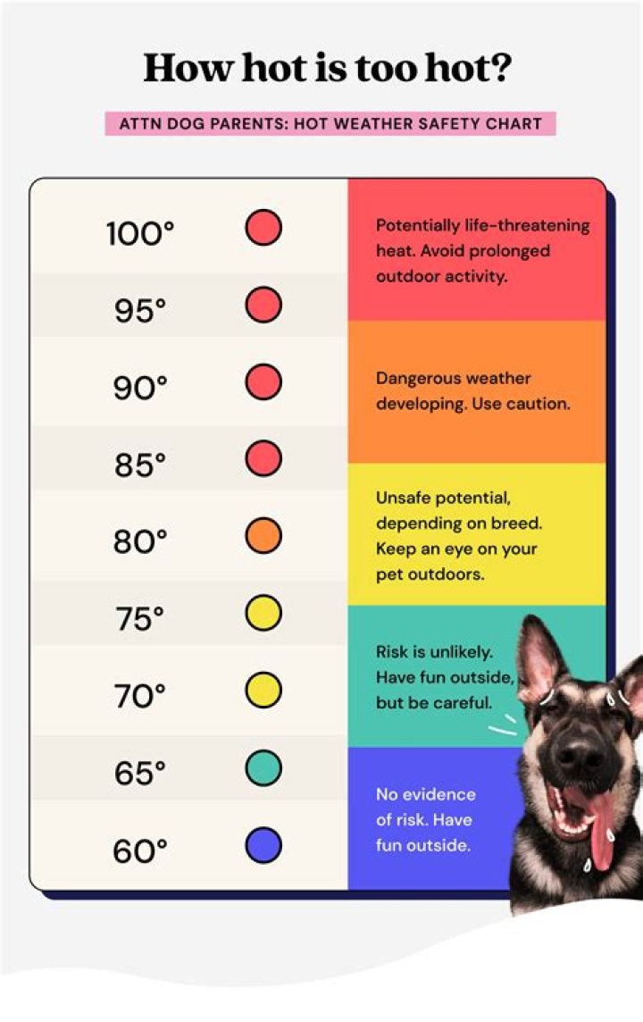Is 92 degrees too hot for a dog?