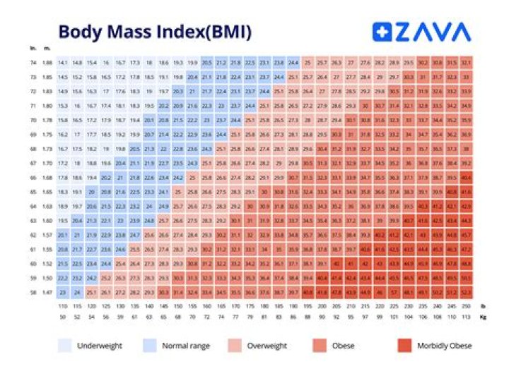 Is a BMI of 25.6 bad?