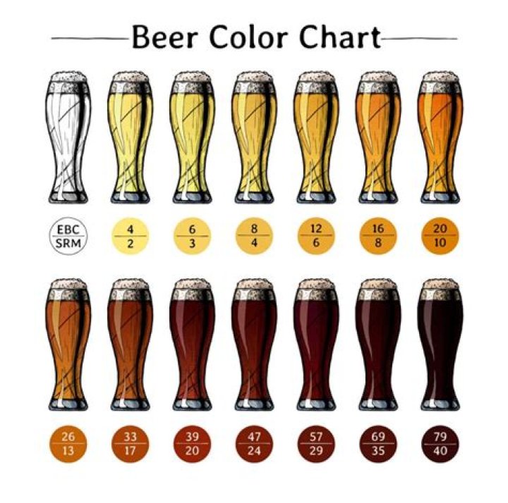 Is a dark ale a stout?