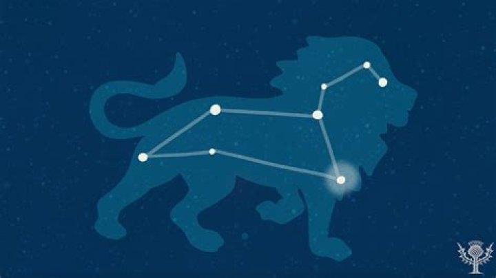 Is a Leo a top or bottom?