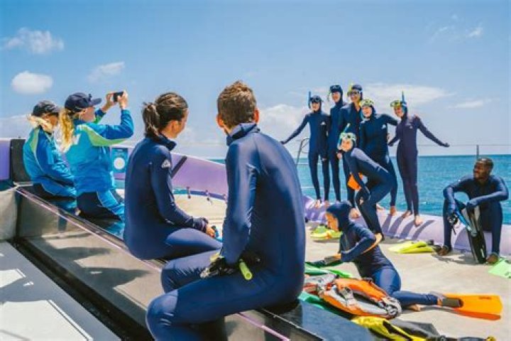 Is a stinger suit the same as a wetsuit?