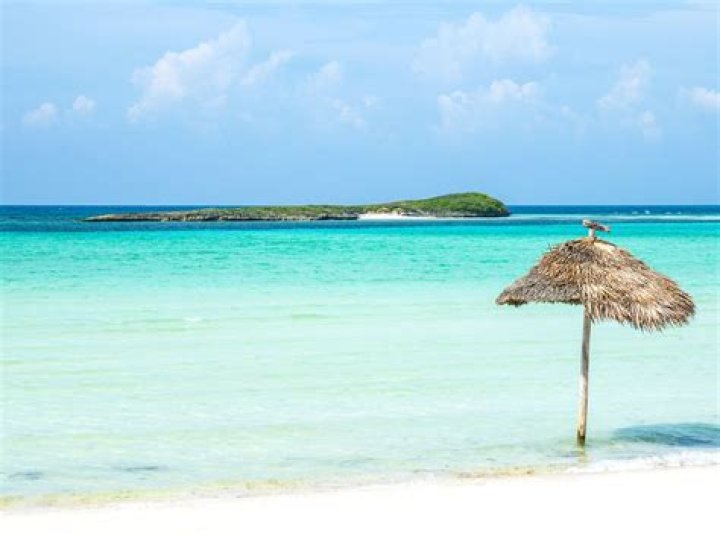 Is Abacos safe?
