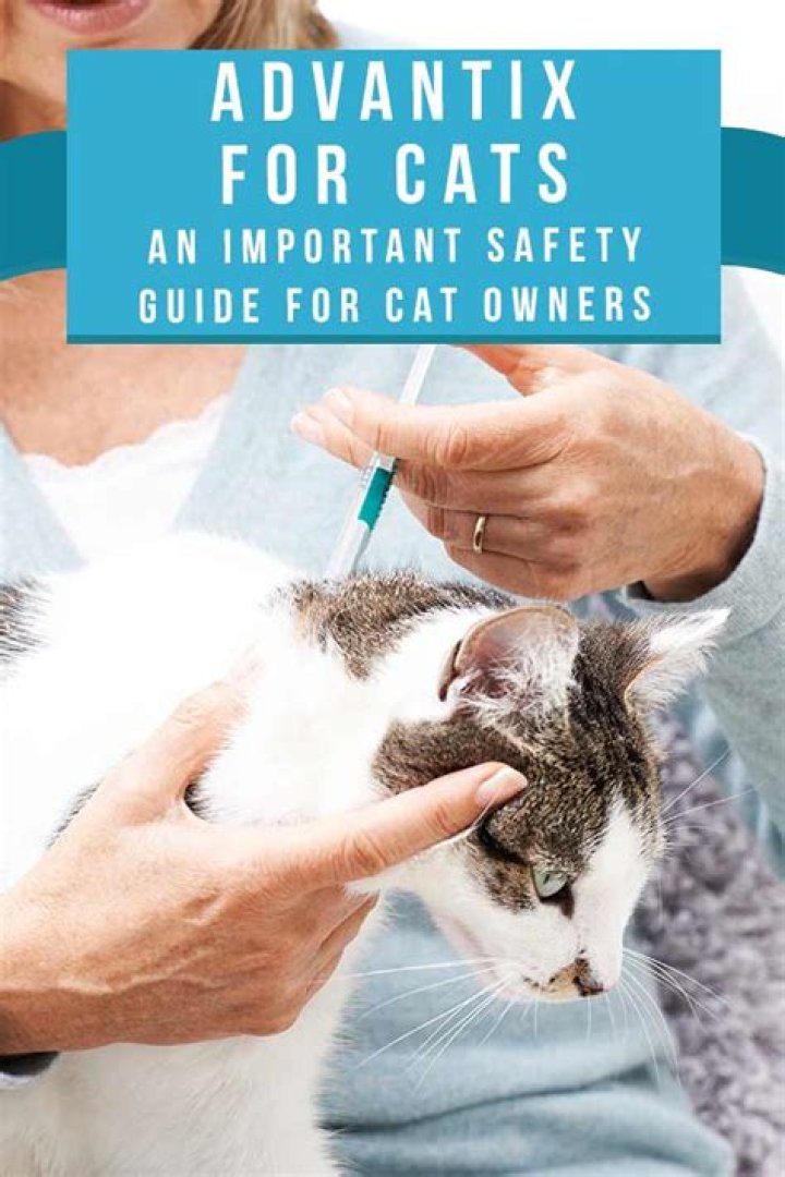 Is Advantix for dogs safe around cats?