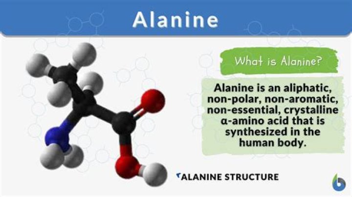 Is alanine a polar amino acids?