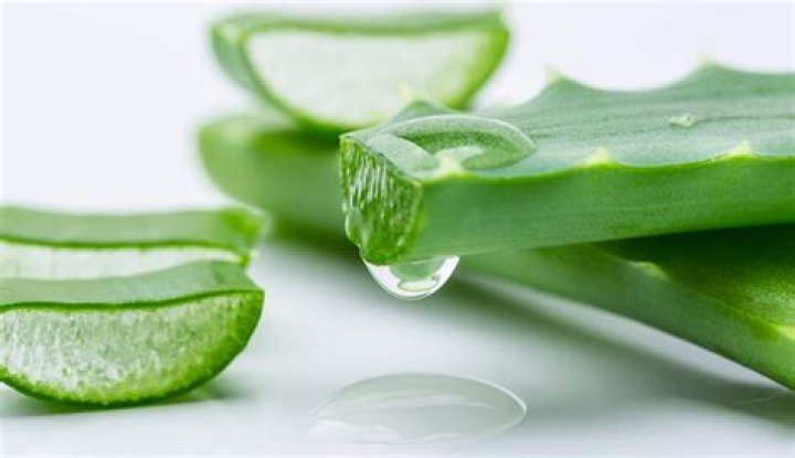 Is Aloe Vera good for skin acne?