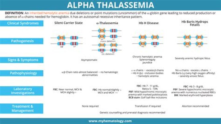 Is Alpha thalassemia point mutation?