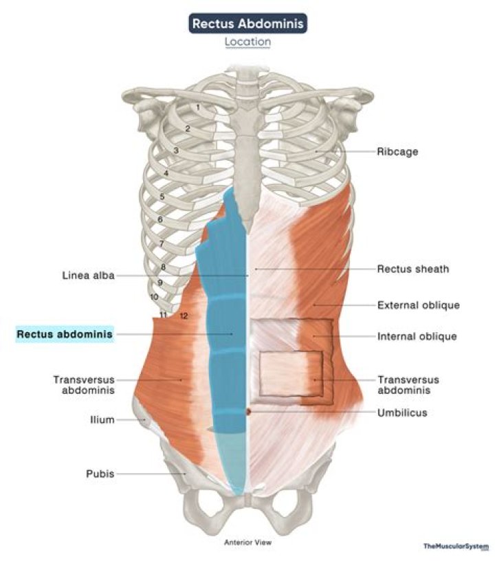 Is also known as inner sheath?