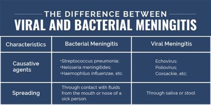 Is bacterial meningitis airborne?