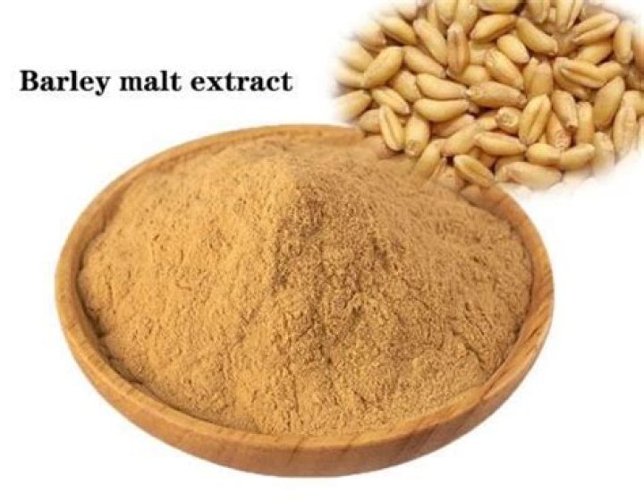 Is barley malt extract healthy?