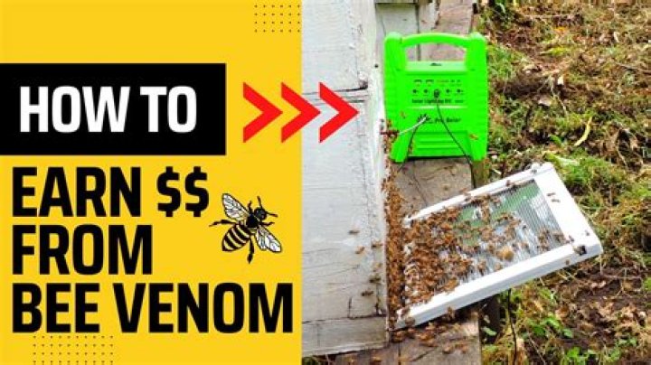 Is bee venom good for you?