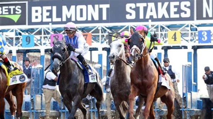 Is Belmont racetrack open to the public?