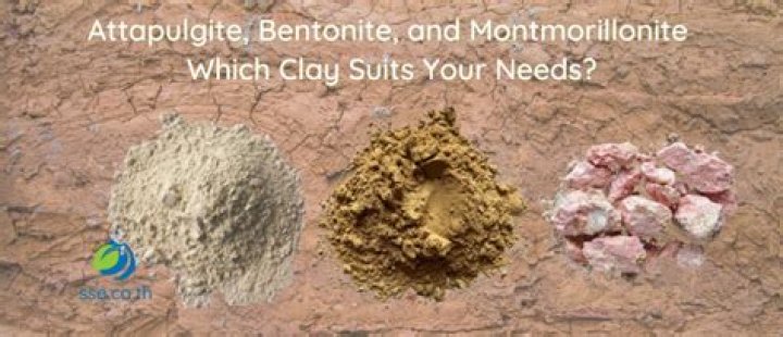 Is bentonite clay same as montmorillonite clay?