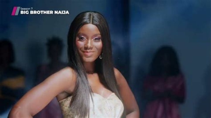 Is Big Brother Naija on Showmax?
