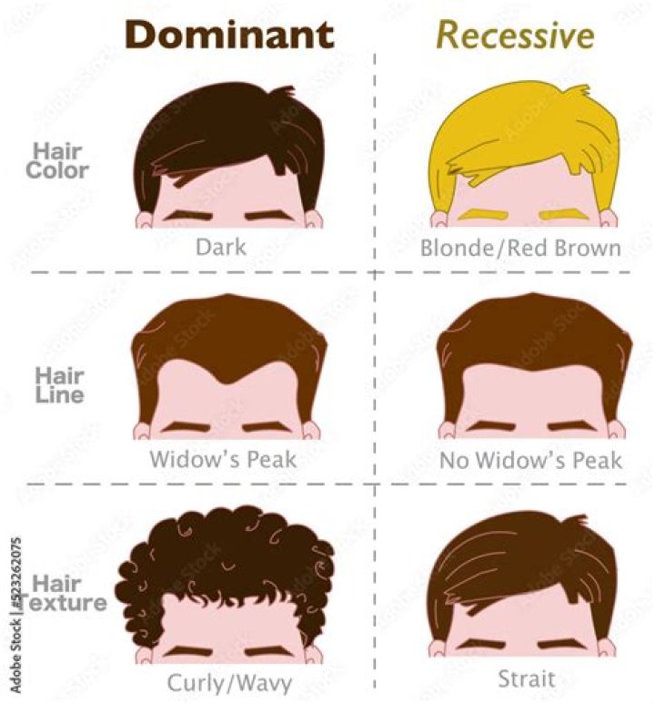 Is black hair more dominant than blonde?