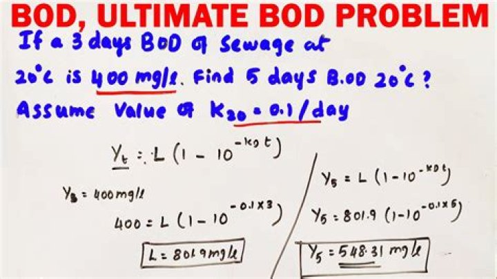 Is Bod a real word?
