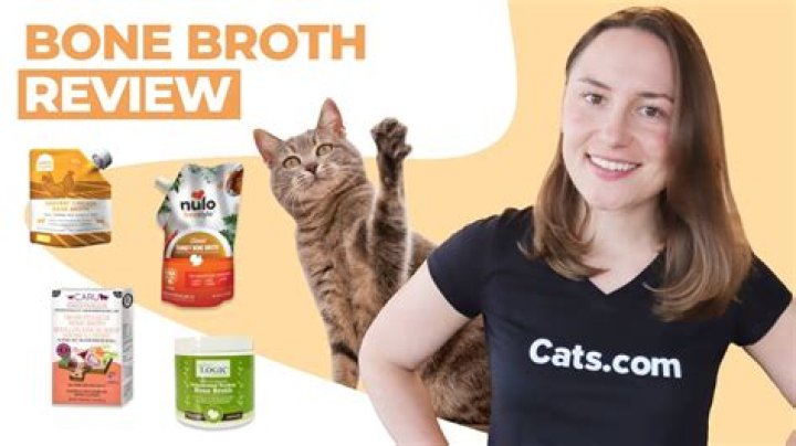 Is bone broth good for cats and dogs?