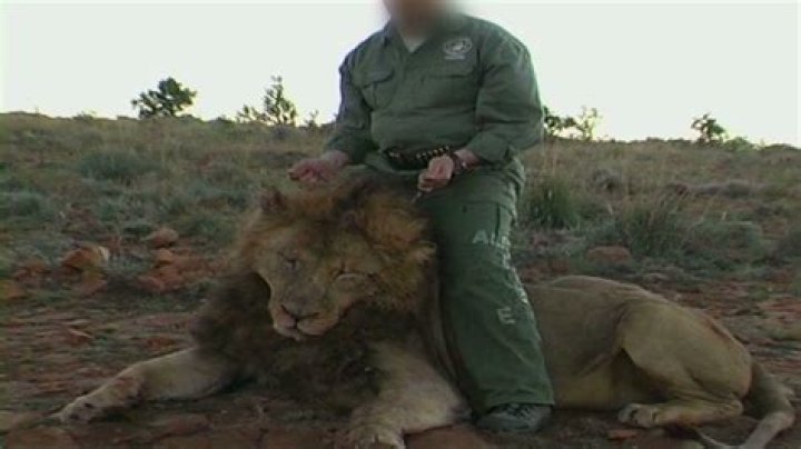 Is canned lion hunting legal in South Africa?