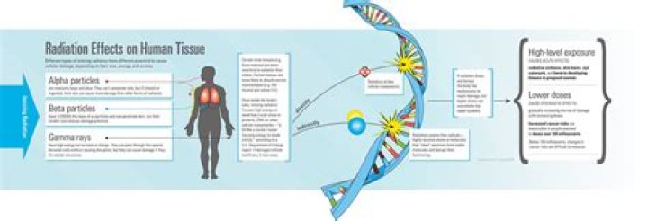 Is cellular radiation harmful?