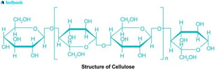 Is cellulose a plastic?