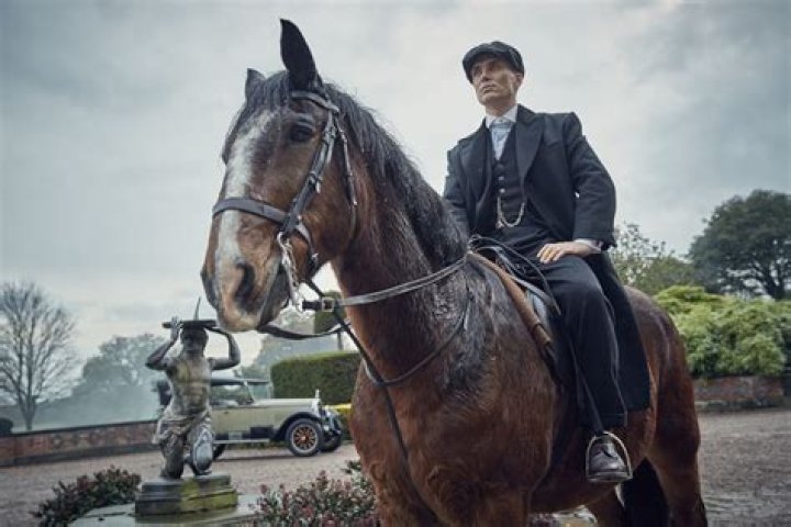 Is Cillian Murphy a gypsy?