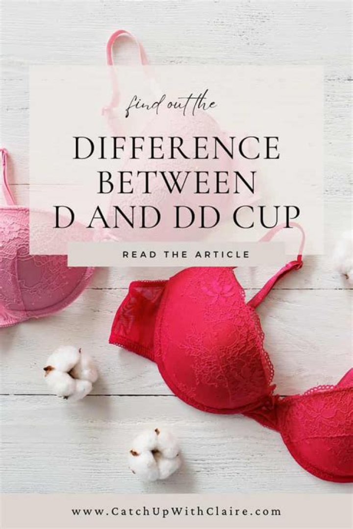 Is DD bra bigger than D?