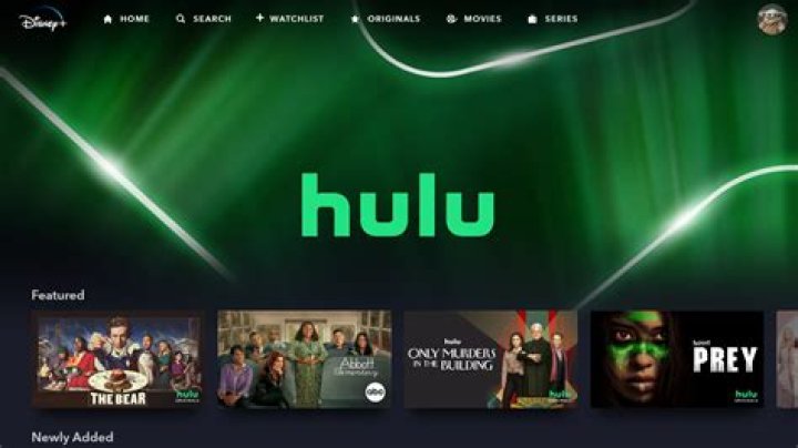 Is Disney plus login the same as Hulu?