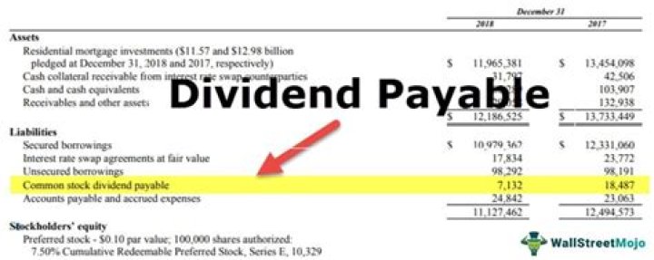 Is dividends payable an asset?