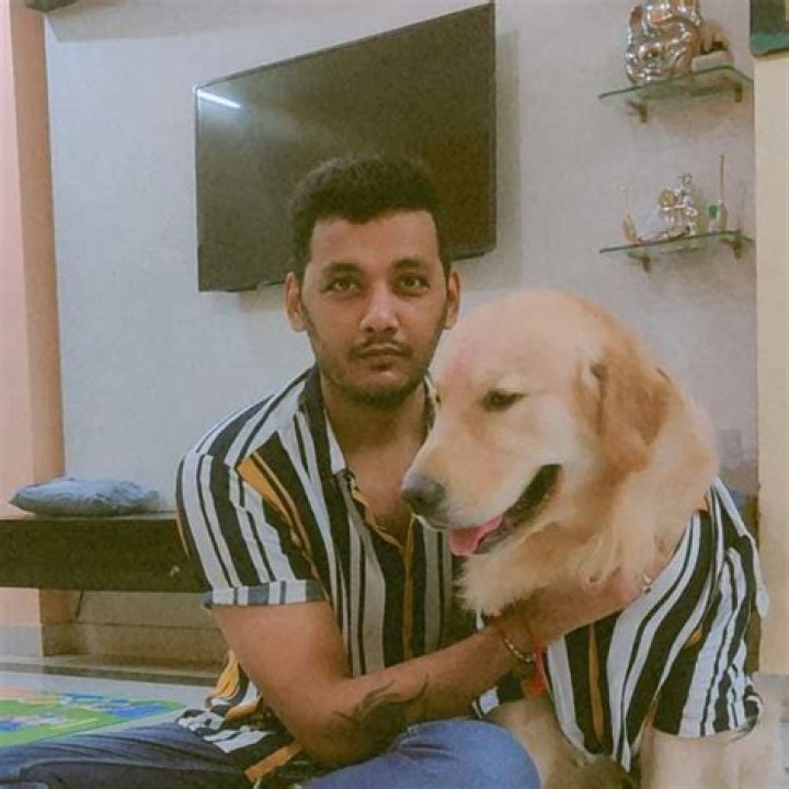 Is dog license mandatory in India?